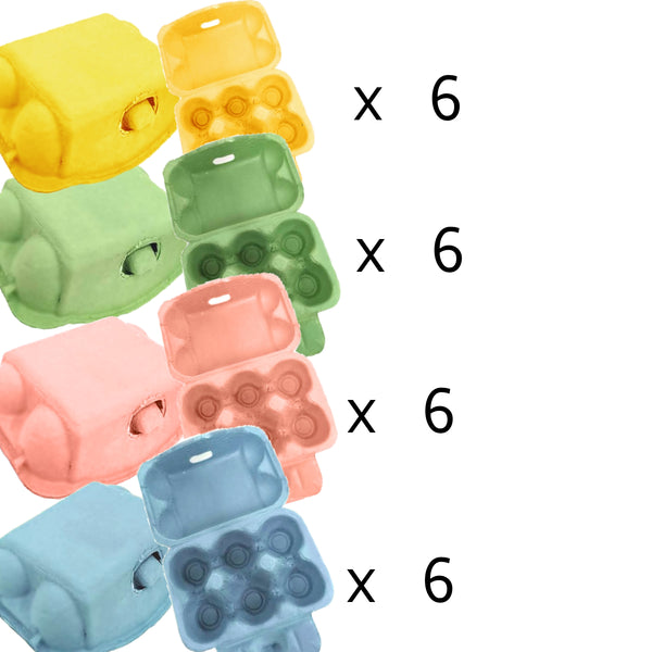 Card Board Egg Box 6 well - 24 Pack