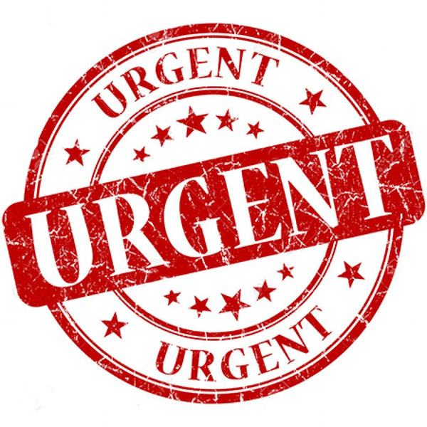 URGENT PROCESSING FEE