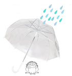 Clear PVC Umbrella - Dome Dome Shape