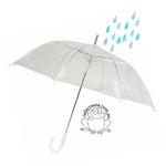Clear PVC Umbrella - Standard Shape