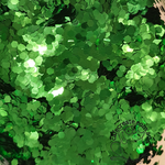 Glitter Chunky - Green 3mm Hex