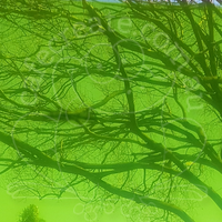 Clear Adhesive Vinyl - Light Green